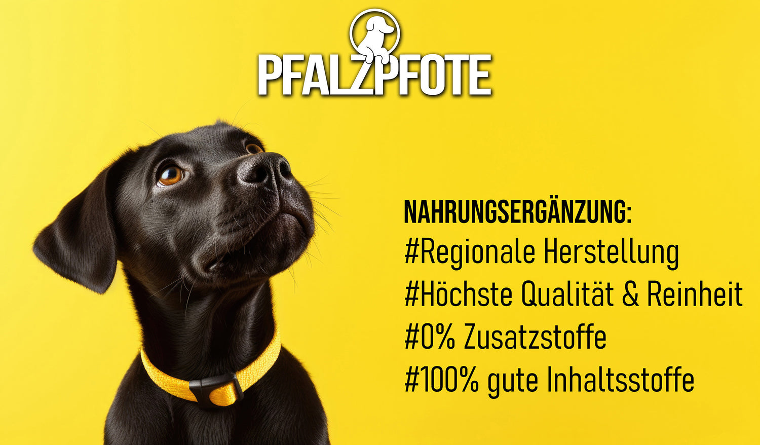 Willkommen bei PfalzPfote!